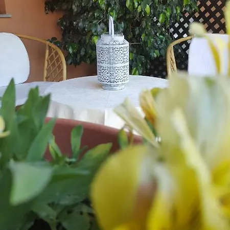 Il Girasole *